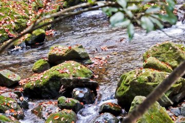 <p>The first of many rivers which you will encounter throughout this walk</p>