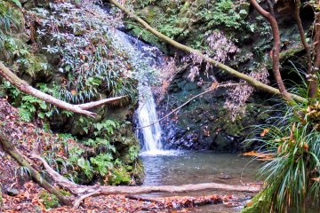 <p>`Kami-no-Mizu` waterfall</p>