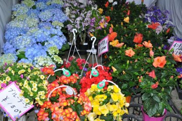 Outdoor Flower Market