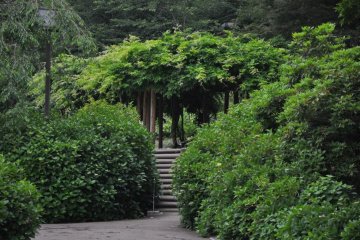 Path to Wisteria Rest Stop