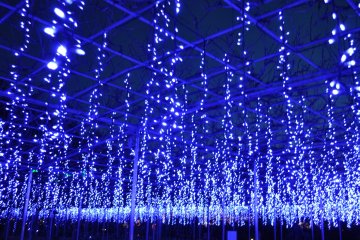 A wisteria-inspired illumination at Ashikaga&nbsp;Flower Park.&nbsp;