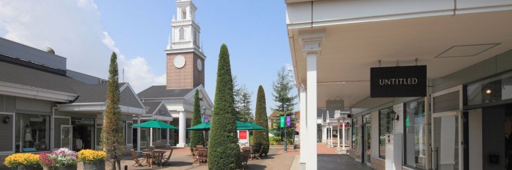 A day tour of Sano Premium Outlets, Agri Town Strawberry Picking, and Ashikaga Flower Park.