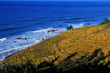 "Senmaida", miles campos de arroz alienados en la montaña. ¡Definitivamente regresaré a ver una plantación de arroz!