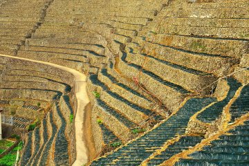 Terraces to Heaven
