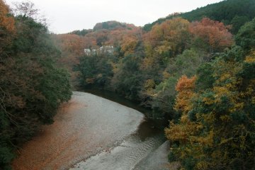 <p>The River wrapping around a bend &nbsp;</p>