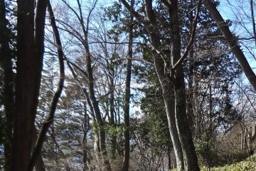 Lakeside trail.