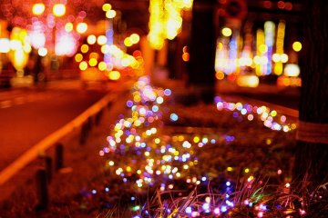 <p>Brilliant Midosuji Illuminations on the ground</p>