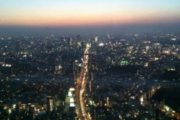 <p>Gazing over Roppongi-dori heading east toward Shibuya.</p>