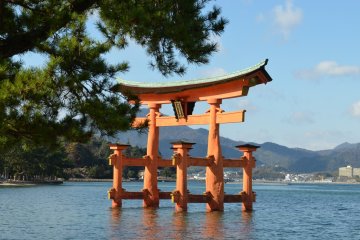 <p>The big gate of Itsukushima shrine in the sea. The height is about 16.6 meters and weight about 60 tons according to a guide book. This is one of the highlights of MiyajimaIsland. Surprisingly, the gate stands under its own weight</p>