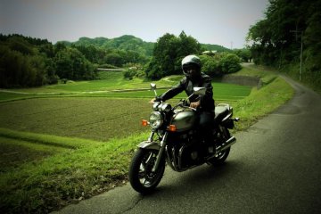 Enjoying a relaxed tour