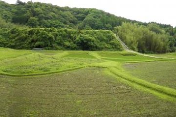 Looks like a well-manicured golf course