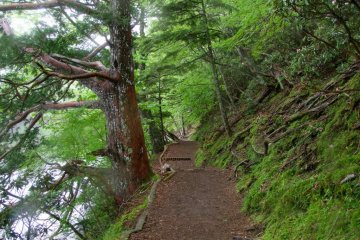 A typical hiking path along Yuno-ko Lake