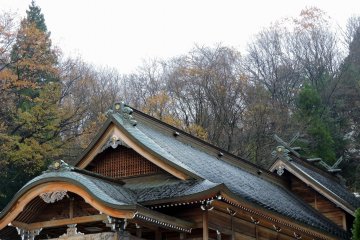 <p>Beautiful roofs of Izumo Shrine's Fukui branch</p>