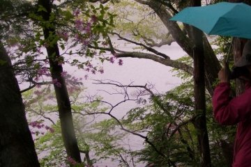 Hiking the perimeter of the lake in the rain was a beautiful experience