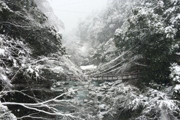 Kazurabashi bridge during the winter season