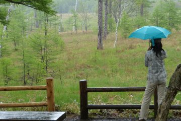 More beautiful in the rain!