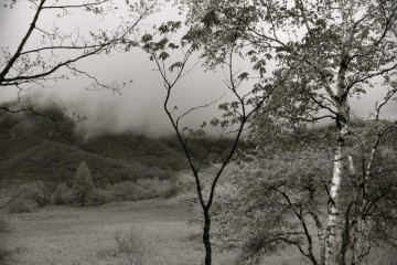 These fields have been enjoyed by the locals and visitors for hundreds of years