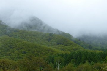 The mountains behind the fields were swallowed up in the mist