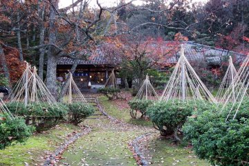 <p>Dirancang dengan pelindung salju, pepohonan di taman siap menyambut datangnya musim dingin</p>