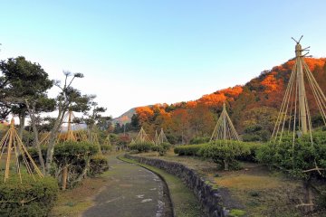 <p>Jalan setapak berliku di Taman Ajimano-en dengan gunung warna-warni di latar belakang</p>