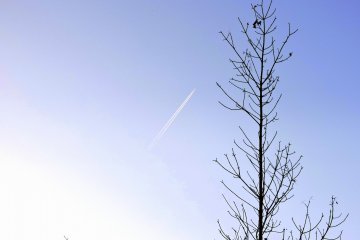 <p>Sebuah pesawat terbang membelah langit biru</p>