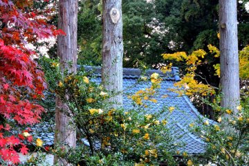 Fukui's Ajimano Shrine in Echizen