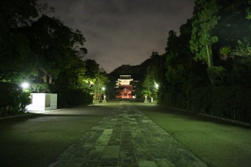 <p>Walking towards the shrine -&nbsp;Quiet, relaxed, and even mysterious atmosphere</p>