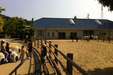 Kids do seem to enjoy this place