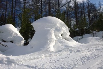 <p>Snow formation</p>
