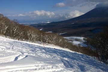 <p>The ungroomed slope</p>