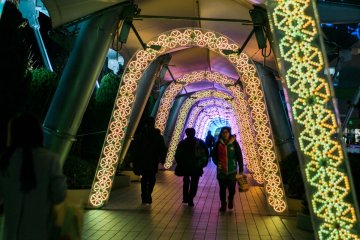 <p>The bridge to LaQua.</p>