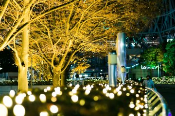 <p>More Bokeh.</p>