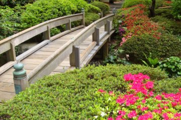 <p>Different flowers bloom each season.</p>