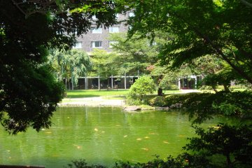 <p>The trees in the garden are lush in the summer time.</p>