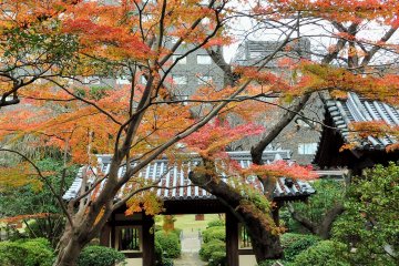 <p>The garden is especially beautiful in autumn</p>