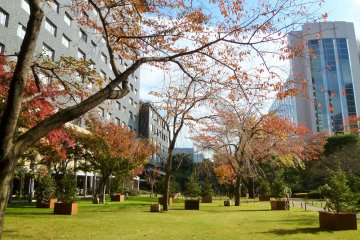 <p>During December, this lawn is covered in Christmas decorations.</p>