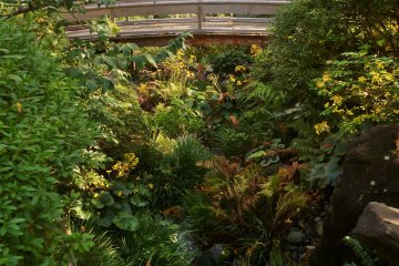 <p>Surrounded on all sides by Prince Hotel buildings, the garden is a quiet oasis.</p>