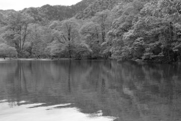 A quiet corner of the lake.