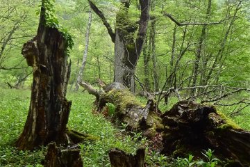 The cycles of nature at work.