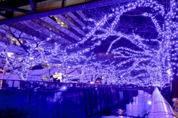 <p>Passing under the bridge below Naka-Meguro Station</p>