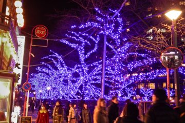<p>The neon lights of the restaurants trying to complete with the blue glow emanating from over 400,000 LED&rsquo;s</p>