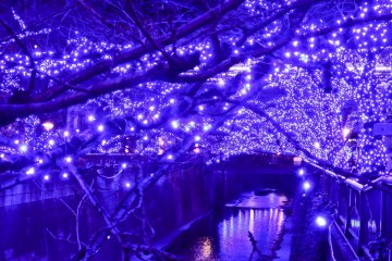 <p>It&rsquo;s easy to understand why this display is referred to as the &lsquo;Blue Grotto&rsquo; or &lsquo;Blue Cavern&rsquo;</p>