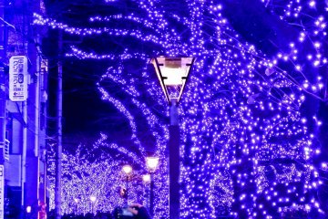<p>Even the roads alongside the river have been transformed into a &lsquo;Blue Cavern&rsquo;</p>