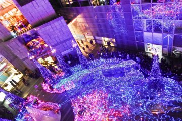 <p>The lights then change to a reddish-pink...</p>