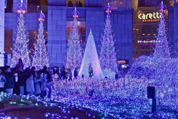 <p>It&rsquo;s very easy to lose yourself in this sea of spectacular lights and music</p>