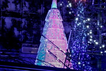 <p>Amongst the vast ocean of LEDs is this picturesque tree</p>