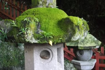 <p>This lantern's been here a good long time</p>