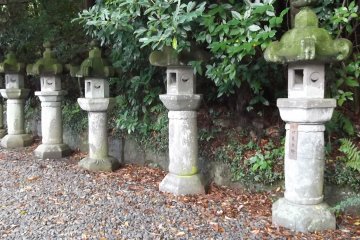 <p>These must have also been standing here a while</p>