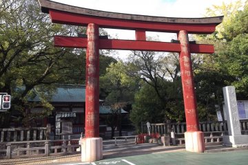 <p>One of the entrance gates from the street</p>