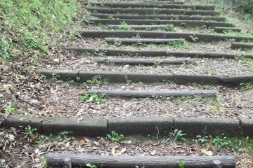 <p>The path up the hill behind the shrine</p>